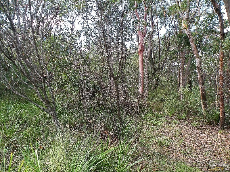 96 Boronia Road, Bullaburra NSW 2784