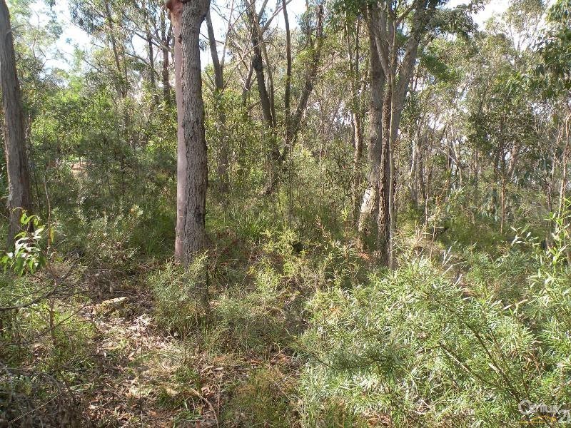 96 Boronia Road, Bullaburra NSW 2784