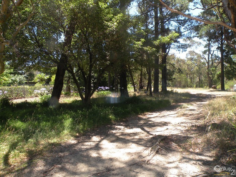 236 Great Western Highway, Lawson NSW 2783