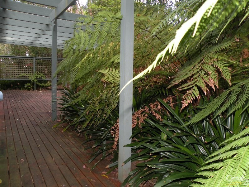 15 Wide View Avenue, Woodford NSW 2778