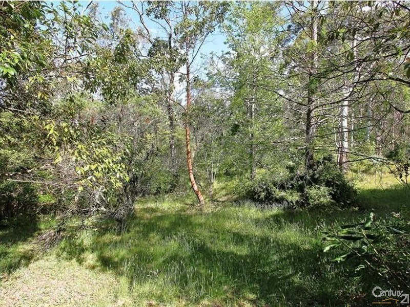 25 Clearview Parade, Hazelbrook NSW 2779