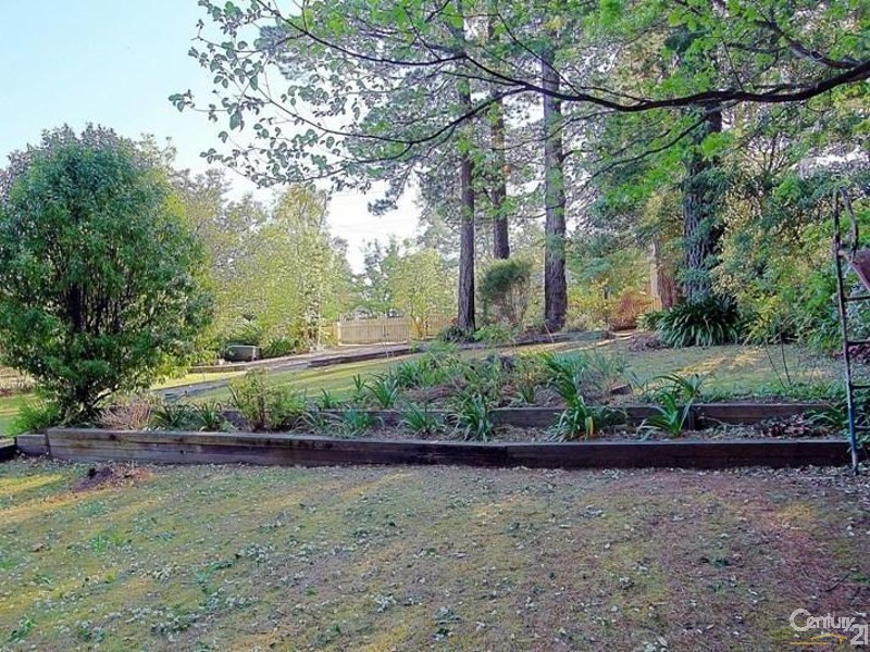 4 Genevieve Road, Bullaburra NSW 2784