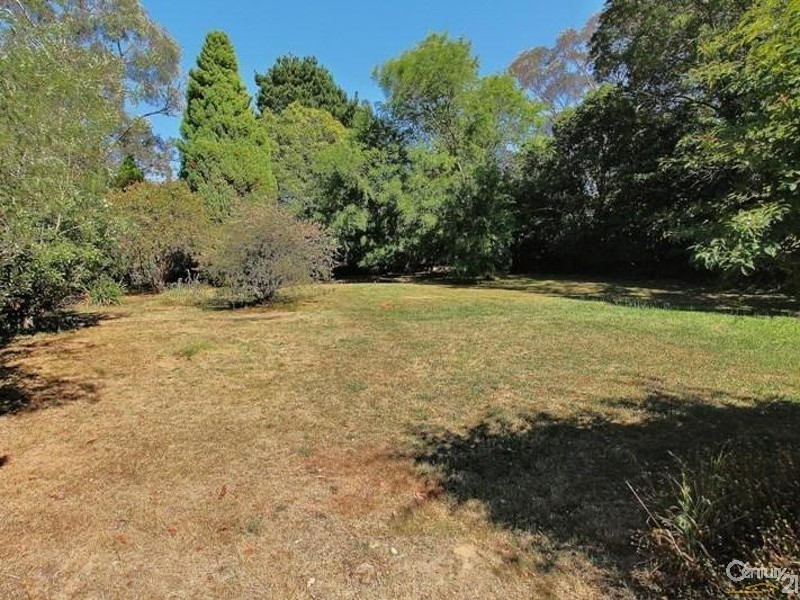 41 John Street, Hazelbrook NSW 2779