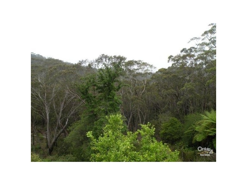 22 Riches Avenue, Woodford NSW 2778