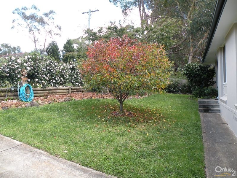 128 Hall Parade, Hazelbrook NSW 2779