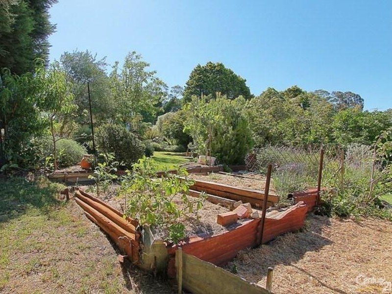 37 Sayers Street, Lawson NSW 2783