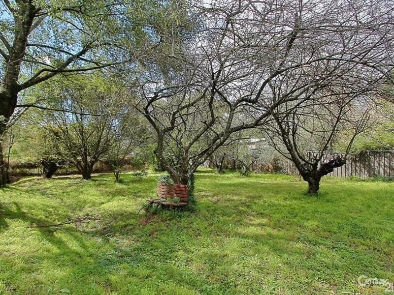 4 Park Road, Hazelbrook NSW 2779