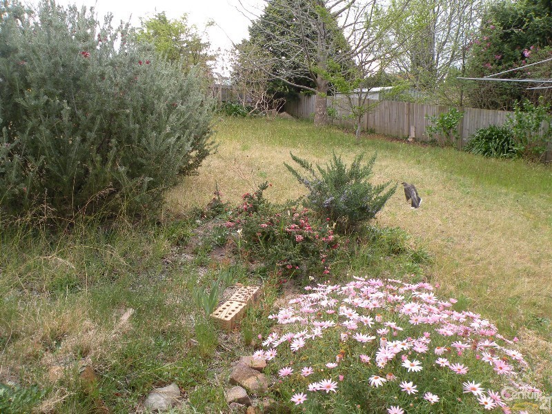 14 Ridge Street, Lawson NSW 2783