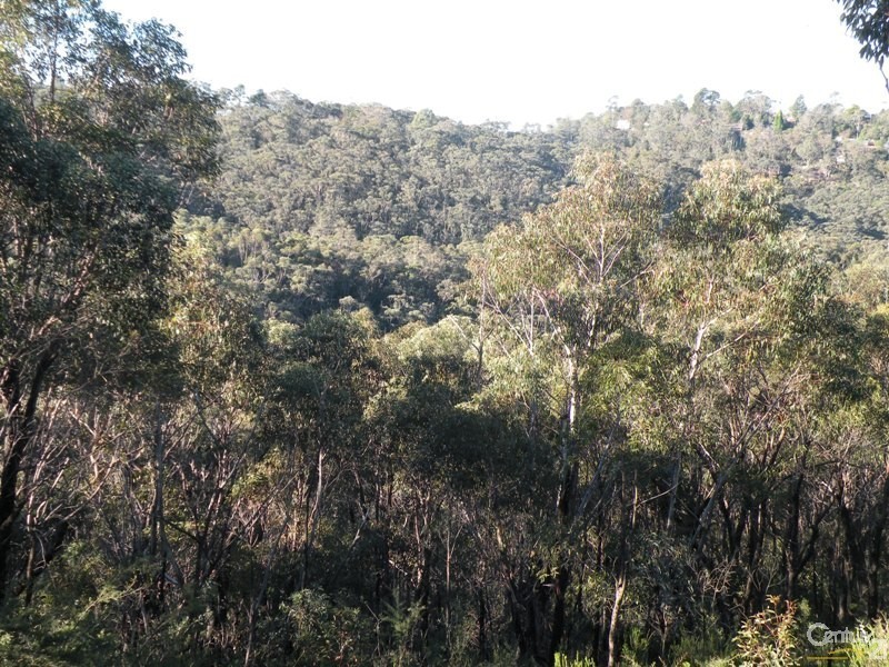 29 Lysiana Road, Woodford NSW 2778