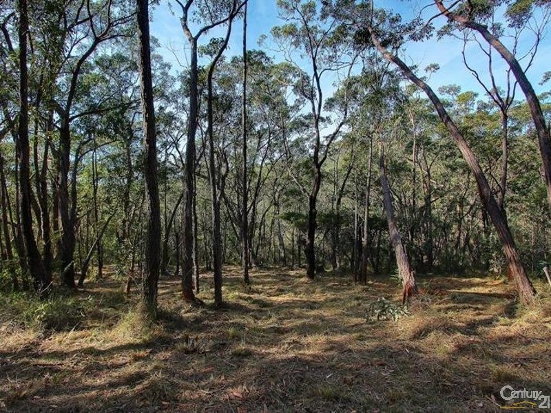 43 Mountview Avenue, Hazelbrook NSW 2779