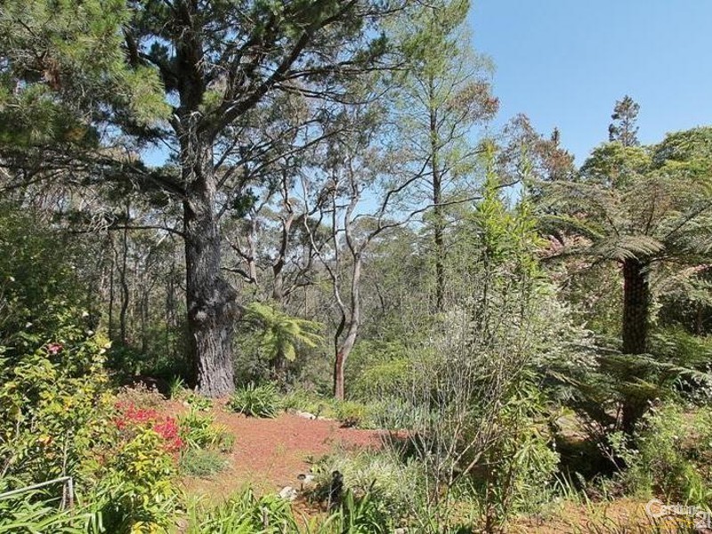 6 Riches Avenue, Woodford NSW 2778