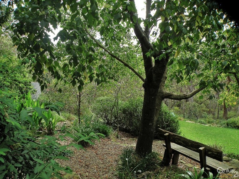 118 Winbourne Road, Hazelbrook NSW 2779