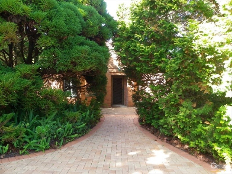 11 Bourke Street, Blaxland NSW 2774