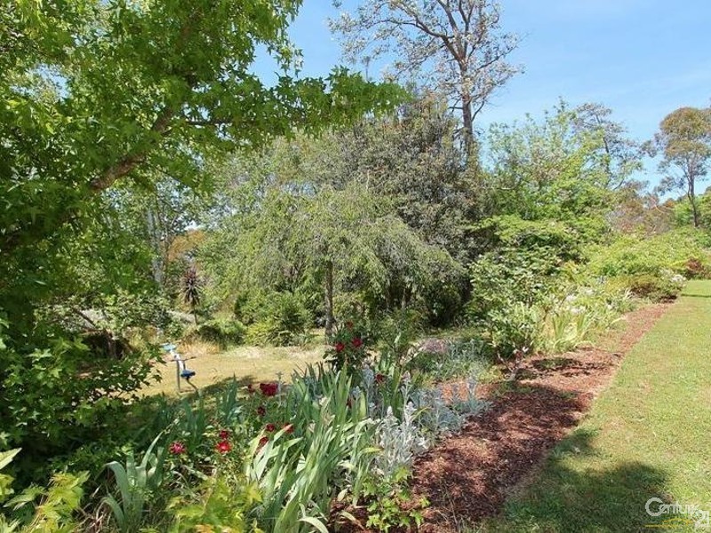 56 Wellington Road, Katoomba NSW 2780