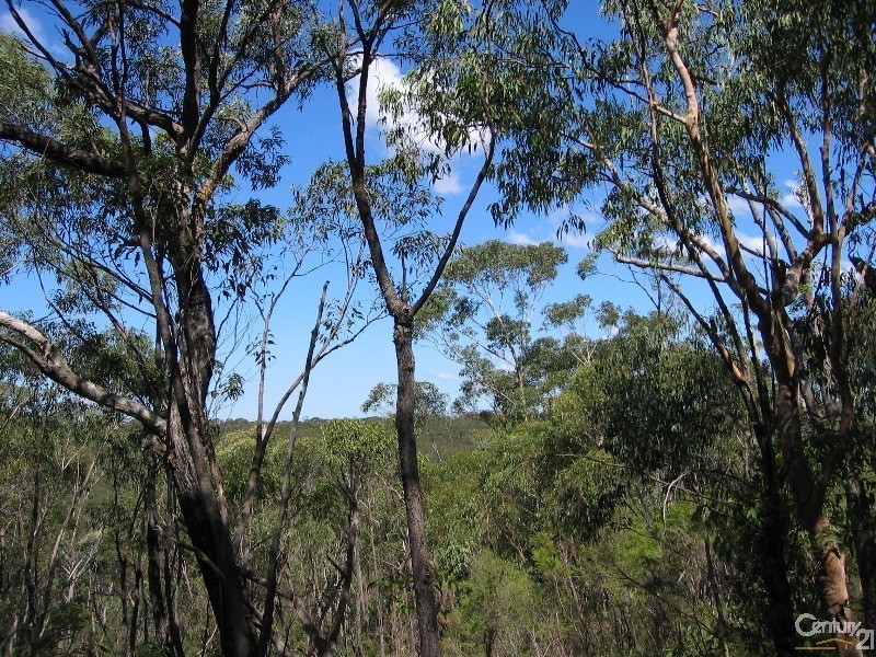 16 Eastern Ave, Hazelbrook NSW 2779