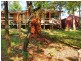 20 LIGGINS ROAD, Hazelbrook NSW 2779