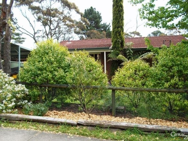 53  Hay Street, Bullaburra NSW 2784