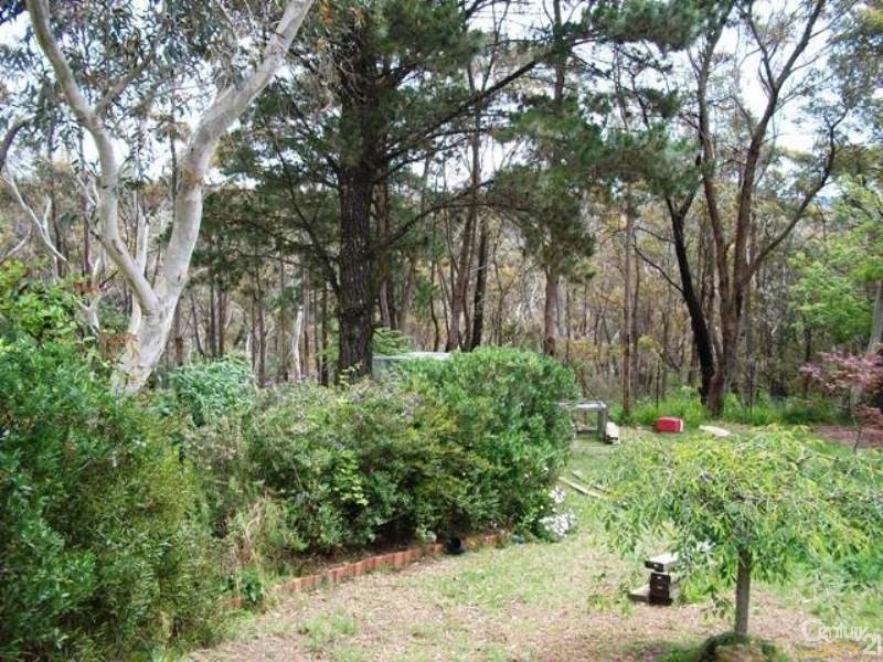 53  Hay Street, Bullaburra NSW 2784