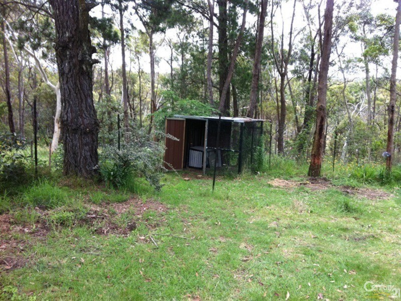 53  Hay Street, Bullaburra NSW 2784