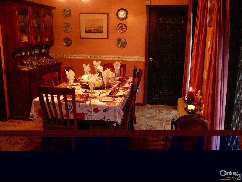 19 WIDEVIEW AVENUE, Lawson NSW 2783