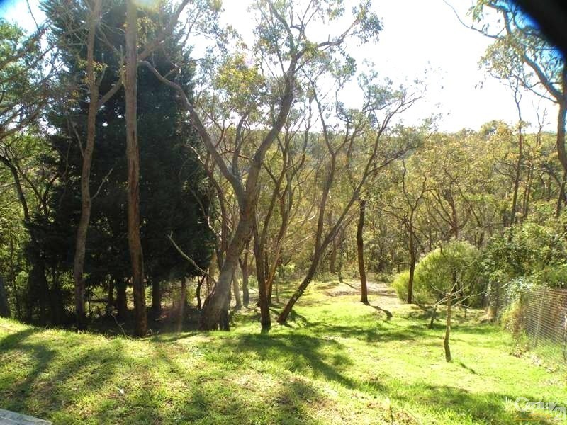 19 WIDEVIEW AVENUE, Lawson NSW 2783