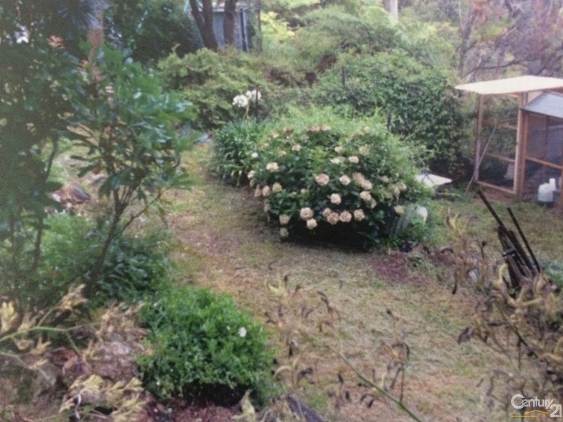 8  JOHN STREET, Hazelbrook NSW 2779