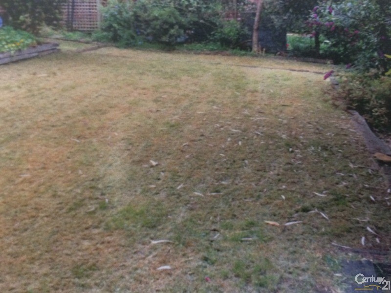 8  JOHN STREET, Hazelbrook NSW 2779