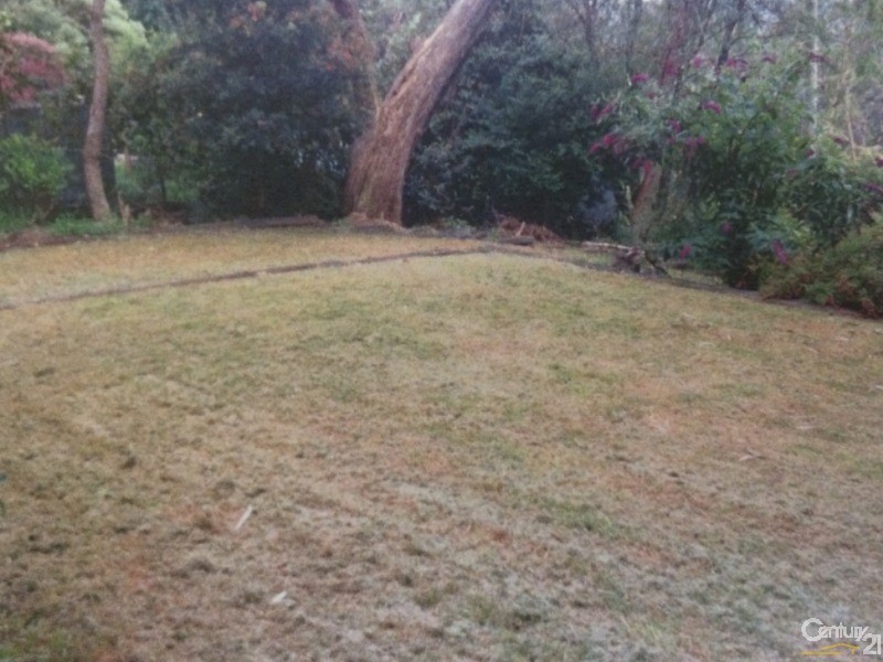 8  JOHN STREET, Hazelbrook NSW 2779