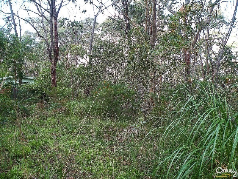 96 Boronia Rd, Bullaburra NSW 2784