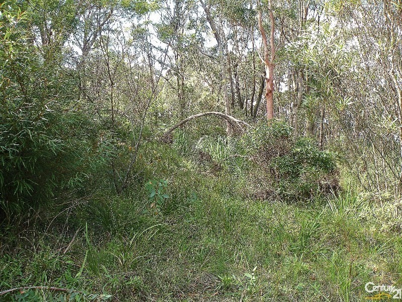 96 Boronia Rd, Bullaburra NSW 2784