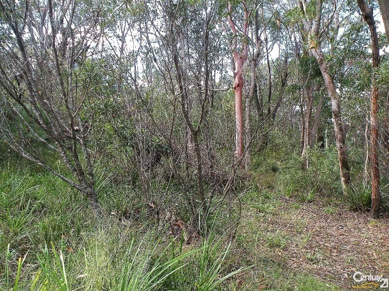 96 Boronia Rd, Bullaburra NSW 2784