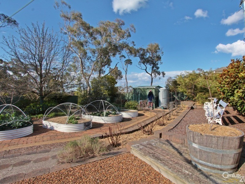 8 Queens View Crescent, Lawson NSW 2783