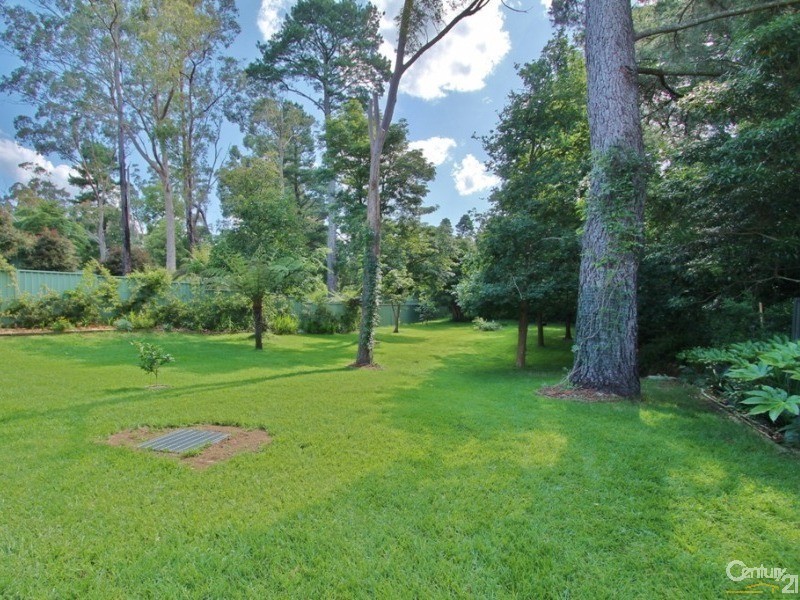 40 Birdwood Avenue, Hazelbrook NSW 2779