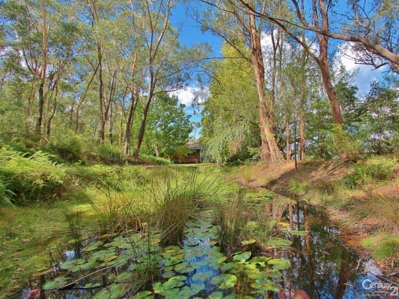 25  Albert Road, Bullaburra NSW 2784