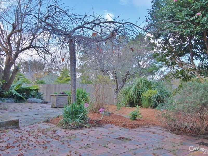 16 Boronia Road, Bullaburra NSW 2784