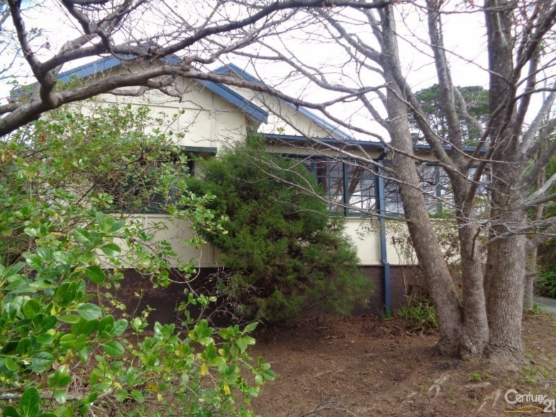 19  Wilson Street, Lawson NSW 2783