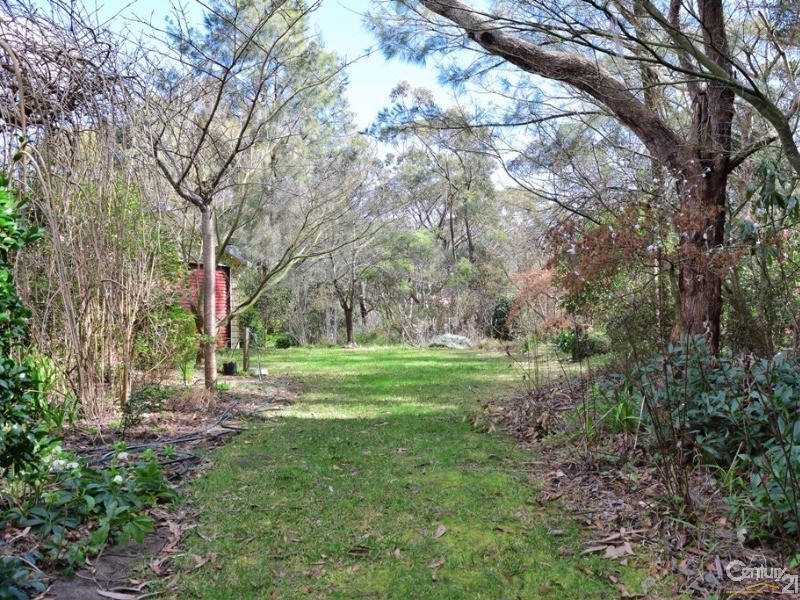 105 Boronia Road, Bullaburra NSW 2784