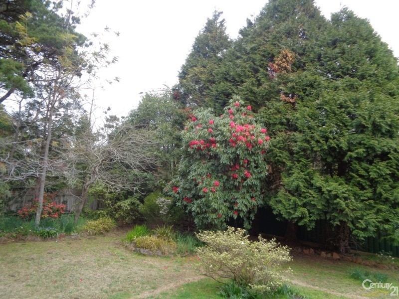 303 Great Western Highway, Wentworth Falls NSW 2782