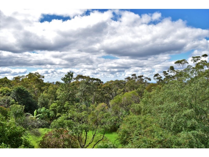 40 Taylor Road, Woodford NSW 2778