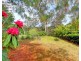 20A Asquith Avenue, Wentworth Falls NSW 2782