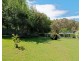 34 Christabel Street, Lawson NSW 2783