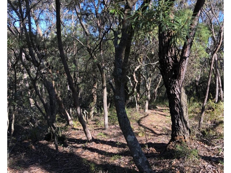 65 Kanimbla Street, Leura NSW 2780