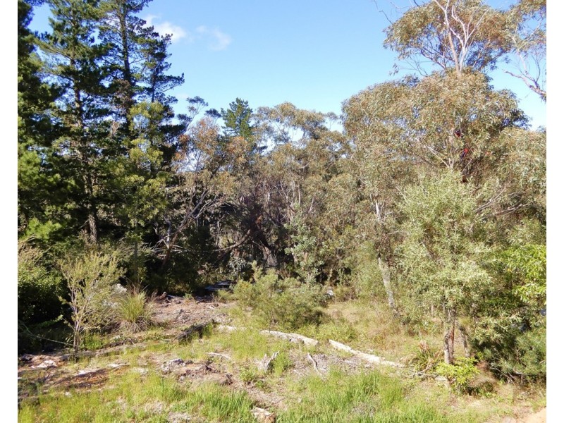 6 Lake Street, Wentworth Falls NSW 2782