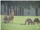 74/390 Mount Scanzi Road, Kangaroo Valley NSW 2577