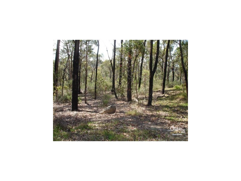 5 Hillcrest Road, Wedderburn NSW 2560