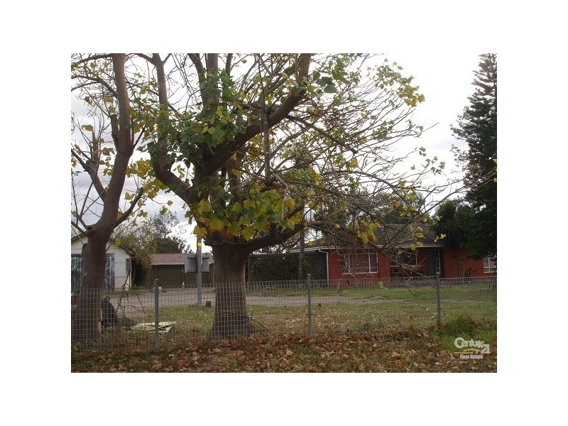 55 Jardine Drive, Edmondson Park NSW 2174