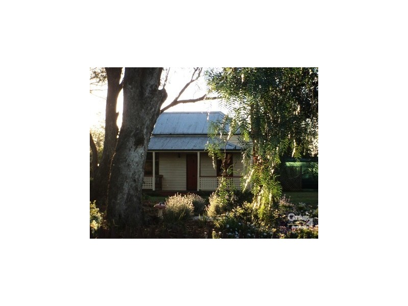 Grasmere NSW 2570