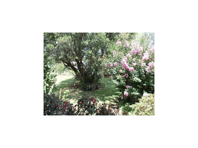 19 Grandview Drive, Campbelltown NSW 2560