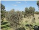 30 Charker Drive, Harrington Park NSW 2567