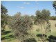 30 Charker Drive, Harrington Park NSW 2567